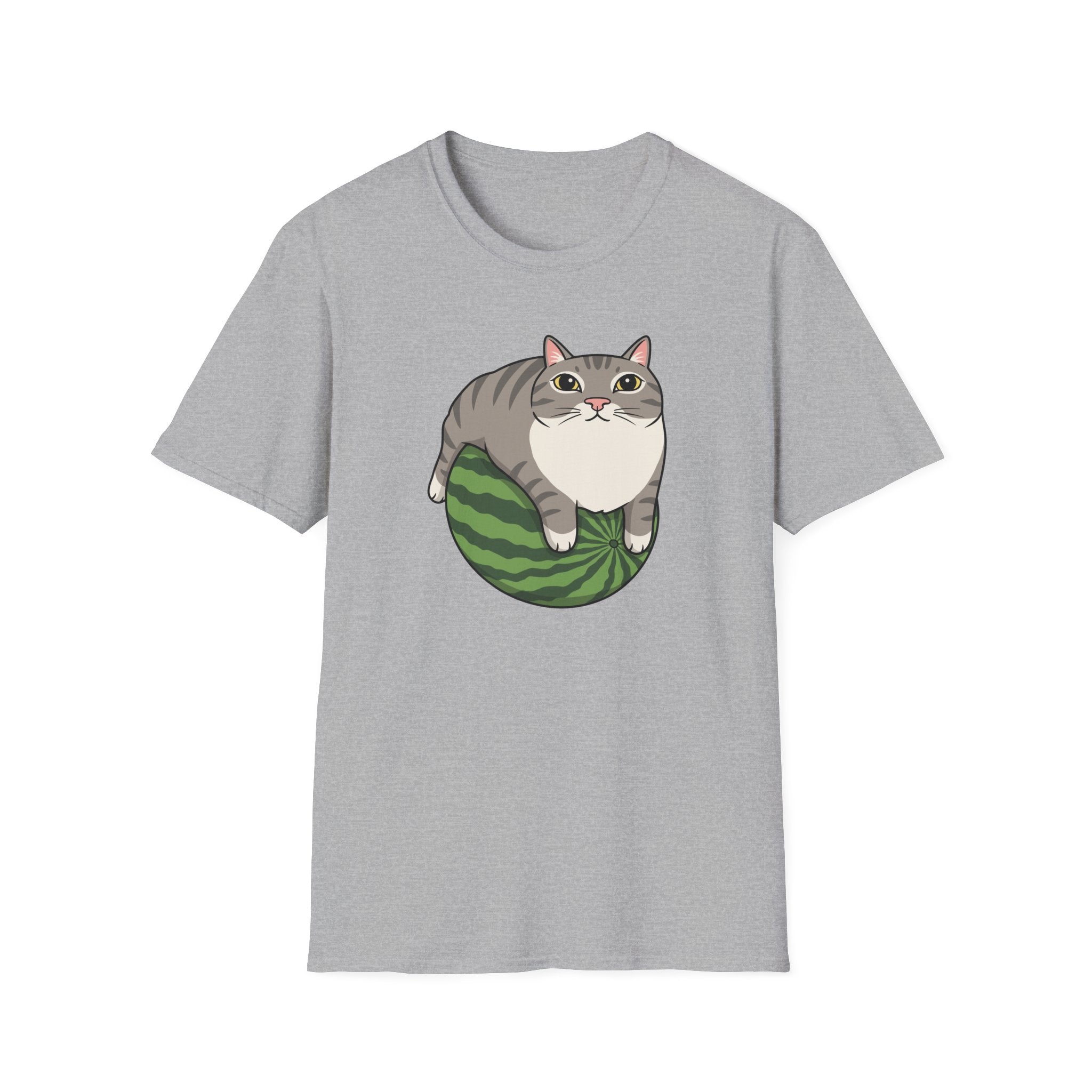Cat Watermelon Meme T-Shirt